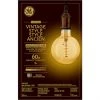 GE Vintage Warm Candle Light 60W Replacement Amber Finish Spiral Filament Globe G40 Light Bulb (1-Pack)