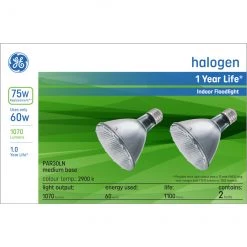 GE Warm White 75W Replacement Halogen Indoor Floodlight Long Neck PAR30 Light Bulbs (2-Pack)