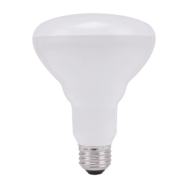 GE Daylight 65W Replacement LED Indoor Floodlight BR30 Light Bulbs (12-Pack) 3 GE Daylight 65W Replacement LED Indoor Floodlight BR30 Light Bulbs (12-Pack)