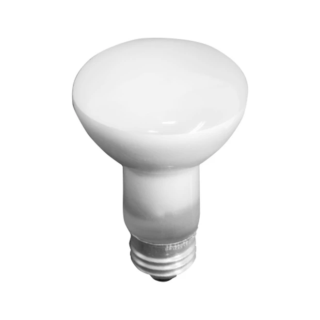 GE Soft White 45W Incandescent Dimmable Indoor Floodlight R20 Light Bulb (2-Pack) 4 GE Soft White 45W Incandescent Dimmable Indoor Floodlight R20 Light Bulb (2-Pack) - Image 2