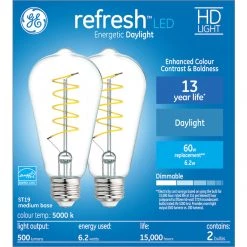 GE Refresh HD Daylight 60W Replacement LED Clear Decorative ST19 Light Bulbs (2-Pack)